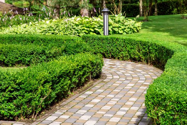Paved Landscaping in Rochester