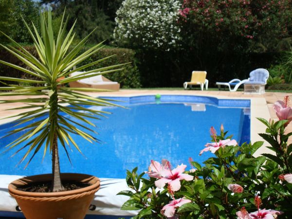 Pool Terrace Renovation in Rochester