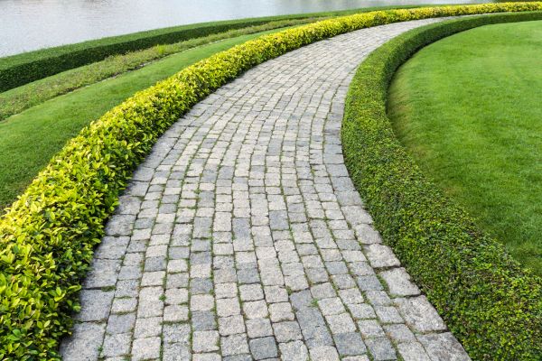 Sidewalk Pavers Installation in Rochester